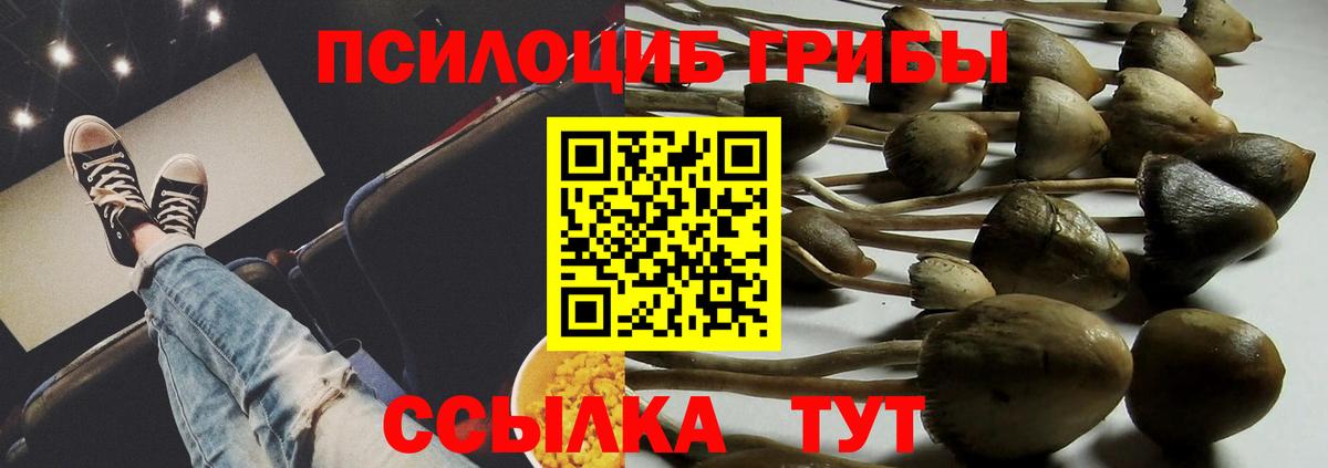 Галлюциногенные грибы мухоморы Избербаш
