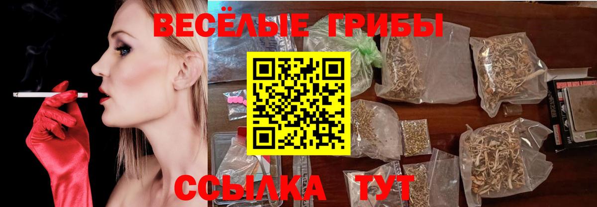 Галлюциногенные грибы MAGIC MUSHROOMS  Псилоцибиновые грибы ЛСД  Вход с VPN  продажа наркотиков  Избербаш 